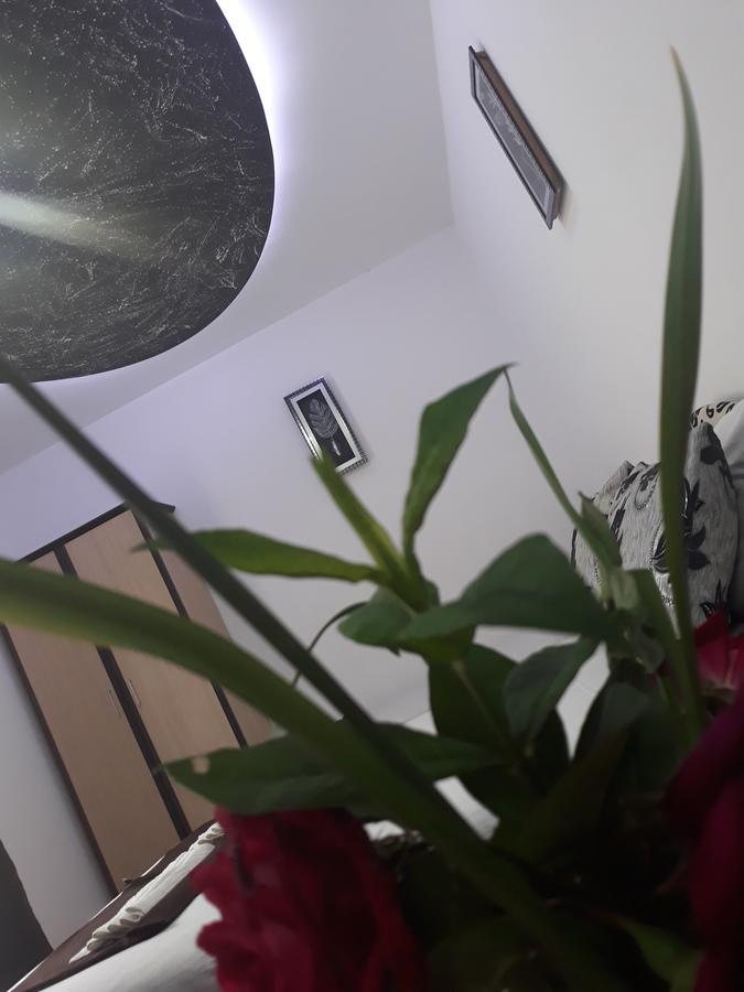 Apartments Aza Dobra Voda Eksteriør bilde